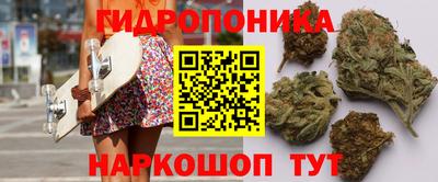 гашик Пугачёв