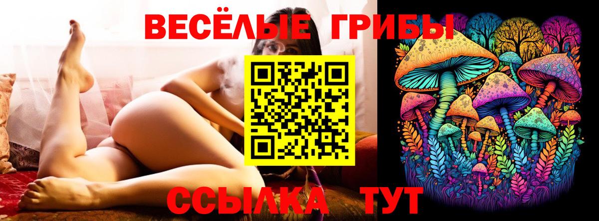 Галлюциногенные грибы Magic Shrooms Рассказово