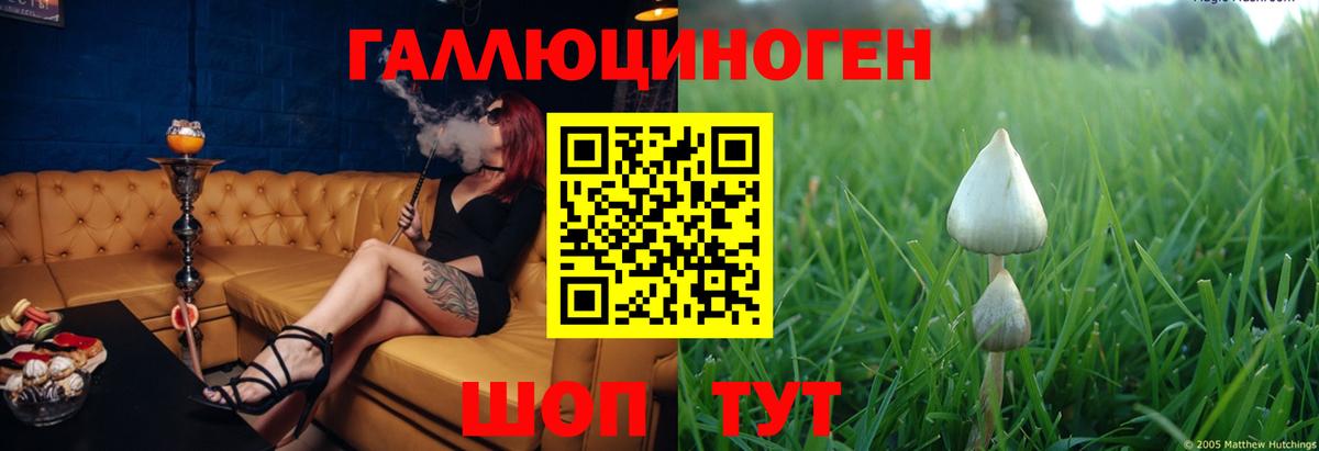 где можно купить наркотик  Псилоцибиновые грибы Psilocybe  Вход с VPN  Рассказово 